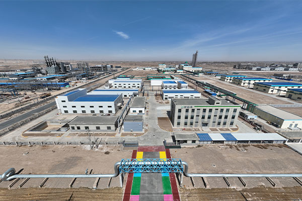 Customers inspect the Central Royal Garden project